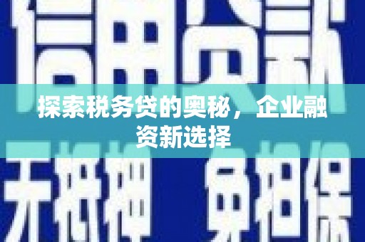 于田探索税务贷的奥秘，企业融资新选择