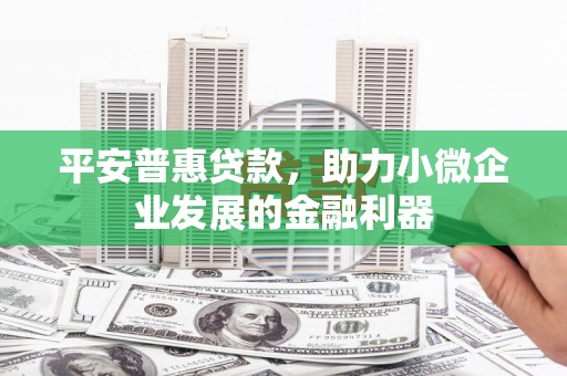 于田平安普惠贷款，助力小微企业发展的金融利器