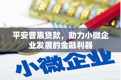 于田平安普惠贷款，助力小微企业发展的金融利器