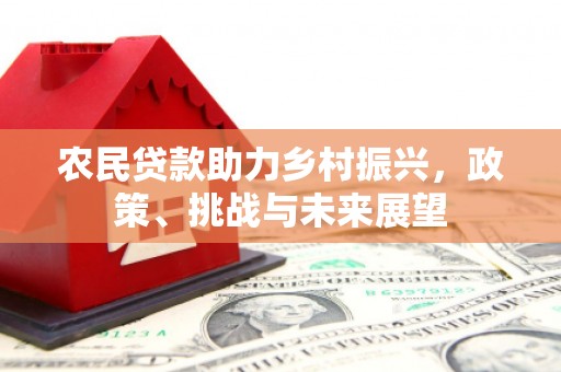 于田农民贷款助力乡村振兴，政策、挑战与未来展望