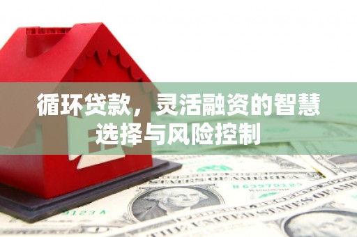 于田循环贷款，灵活融资的智慧选择与风险控制