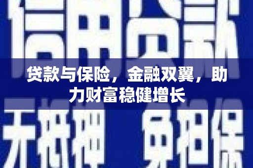 于田贷款与保险，金融双翼，助力财富稳健增长