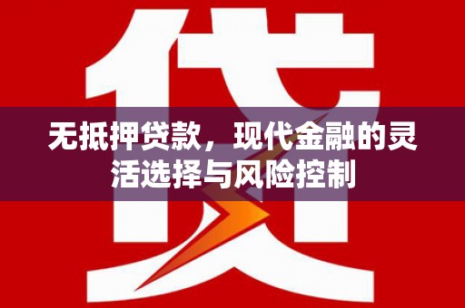 于田无抵押贷款，现代金融的灵活选择与风险控制