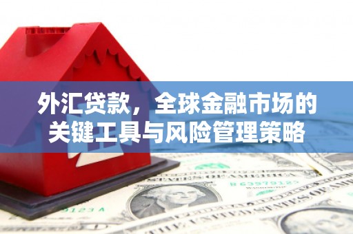于田外汇贷款，全球金融市场的关键工具与风险管理策略