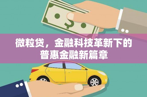 于田微粒贷，金融科技革新下的普惠金融新篇章