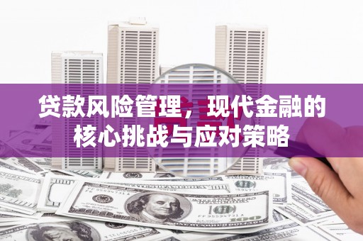 于田贷款风险管理，现代金融的核心挑战与应对策略