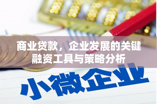 于田商业贷款，企业发展的关键融资工具与策略分析