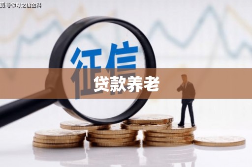 于田贷款养老