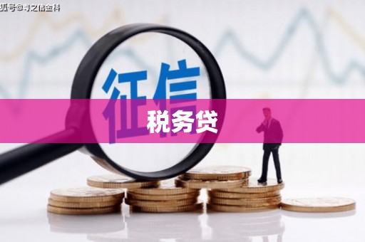 于田税务贷