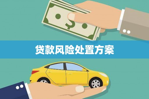 于田贷款风险处置方案