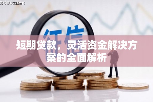 于田短期贷款，灵活资金解决方案的全面解析