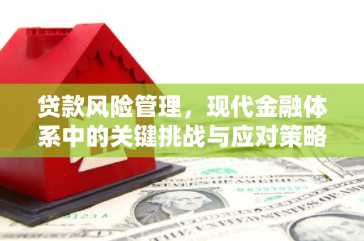 于田贷款风险管理，现代金融体系中的关键挑战与应对策略