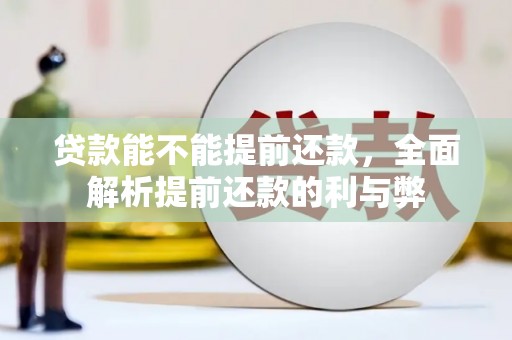 于田贷款能不能提前还款，全面解析提前还款的利与弊
