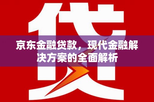 于田京东金融贷款，现代金融解决方案的全面解析
