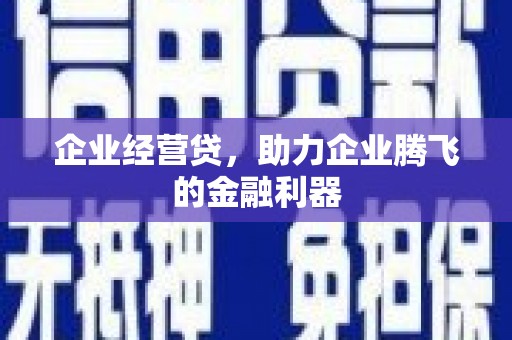 于田企业经营贷，助力企业腾飞的金融利器