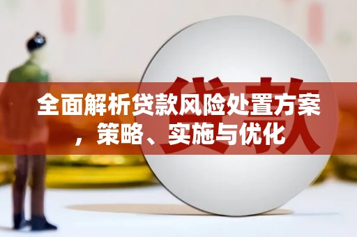 于田全面解析贷款风险处置方案，策略、实施与优化