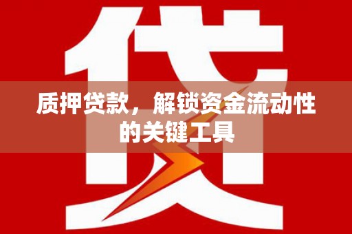 于田质押贷款，解锁资金流动性的关键工具