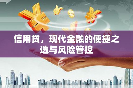 于田信用贷，现代金融的便捷之选与风险管控