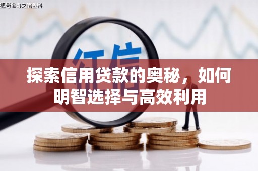 于田探索信用贷款的奥秘，如何明智选择与高效利用