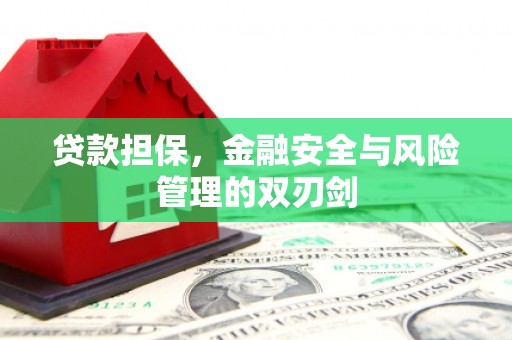 于田贷款担保，金融安全与风险管理的双刃剑
