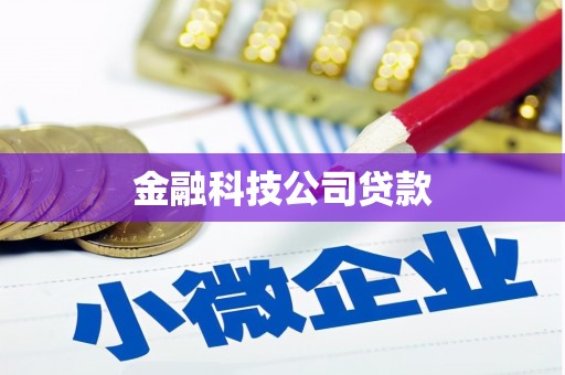 于田金融科技公司贷款