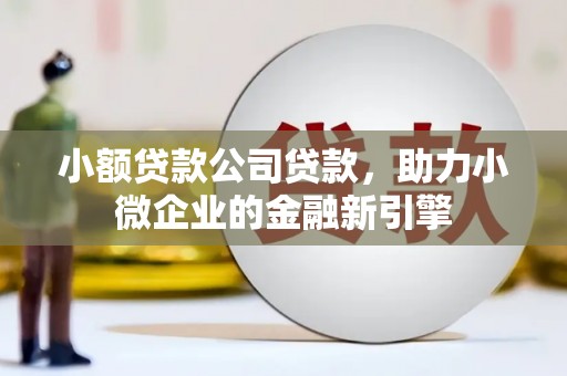 于田小额贷款公司贷款，助力小微企业的金融新引擎