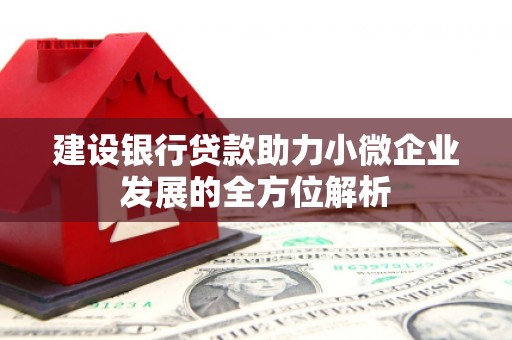 于田建设银行贷款助力小微企业发展的全方位解析