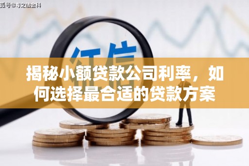 于田揭秘小额贷款公司利率，如何选择最合适的贷款方案