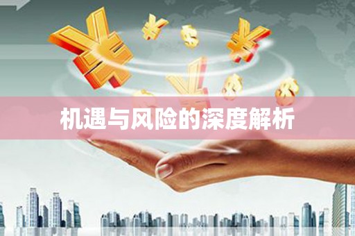 于田机遇与风险的深度解析