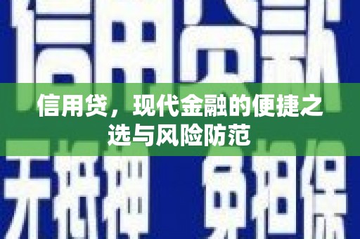 于田信用贷，现代金融的便捷之选与风险防范