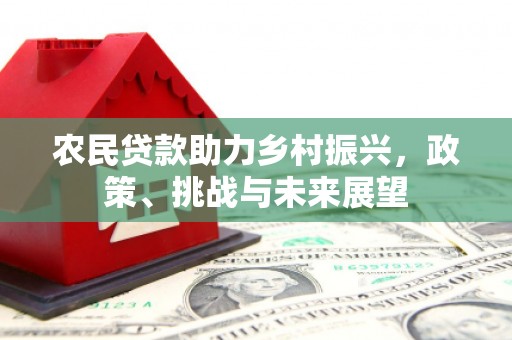 于田农民贷款助力乡村振兴，政策、挑战与未来展望