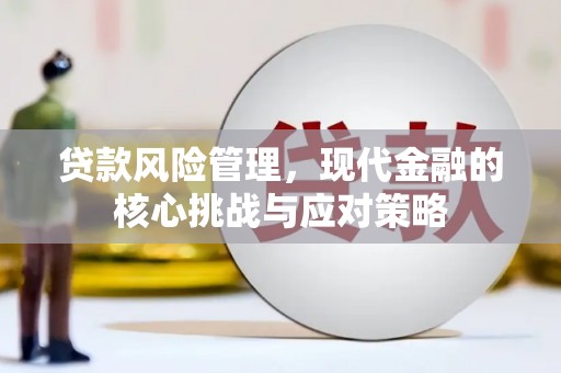 于田贷款风险管理，现代金融的核心挑战与应对策略