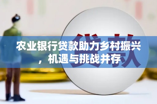 于田农业银行贷款助力乡村振兴，机遇与挑战并存