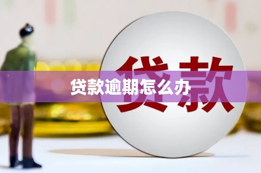 于田贷款逾期怎么办