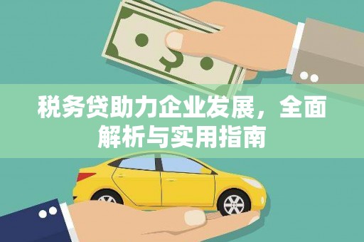 于田税务贷助力企业发展，全面解析与实用指南