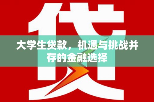 于田大学生贷款，机遇与挑战并存的金融选择