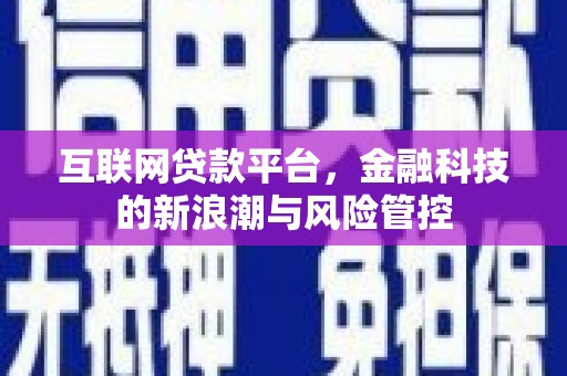 于田互联网贷款平台，金融科技的新浪潮与风险管控