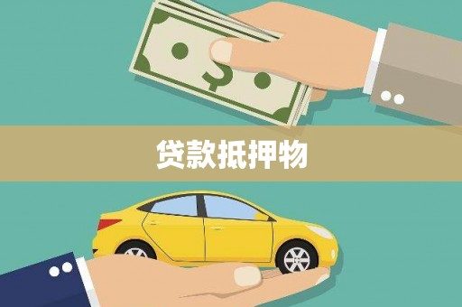 于田贷款抵押物