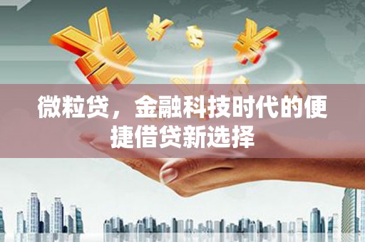 于田微粒贷，金融科技时代的便捷借贷新选择