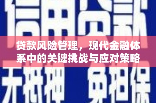 于田贷款风险管理，现代金融体系中的关键挑战与应对策略