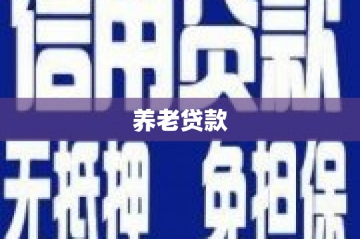 于田养老贷款