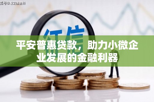 于田平安普惠贷款，助力小微企业发展的金融利器