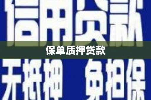 于田保单质押贷款