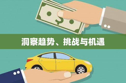 于田洞察趋势、挑战与机遇