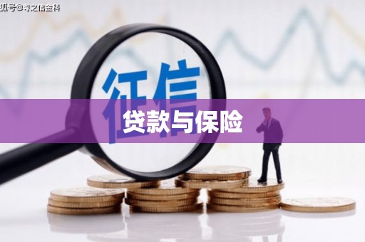 于田贷款与保险