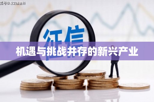 于田机遇与挑战并存的新兴产业