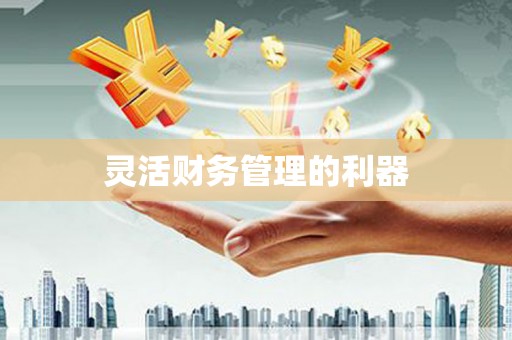 于田灵活财务管理的利器