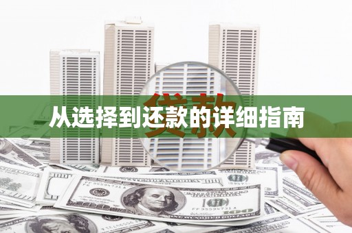 于田从选择到还款的详细指南