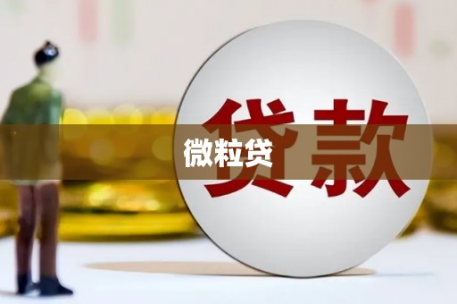于田微粒贷