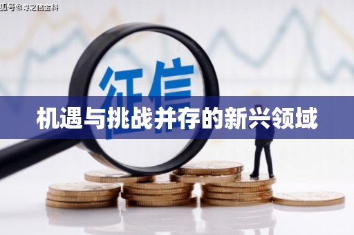 于田机遇与挑战并存的新兴领域